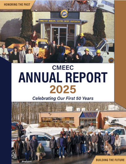 2025 Annual Report Cover Screenshot